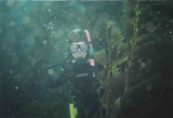 Catalina Kelp. Casino Point, Catalina. Sea&Sea MX-5 Kodak... by Kevin Robert Panizza 