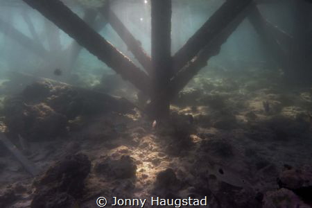 Under the Jetty, Mabul by Jonny Haugstad 