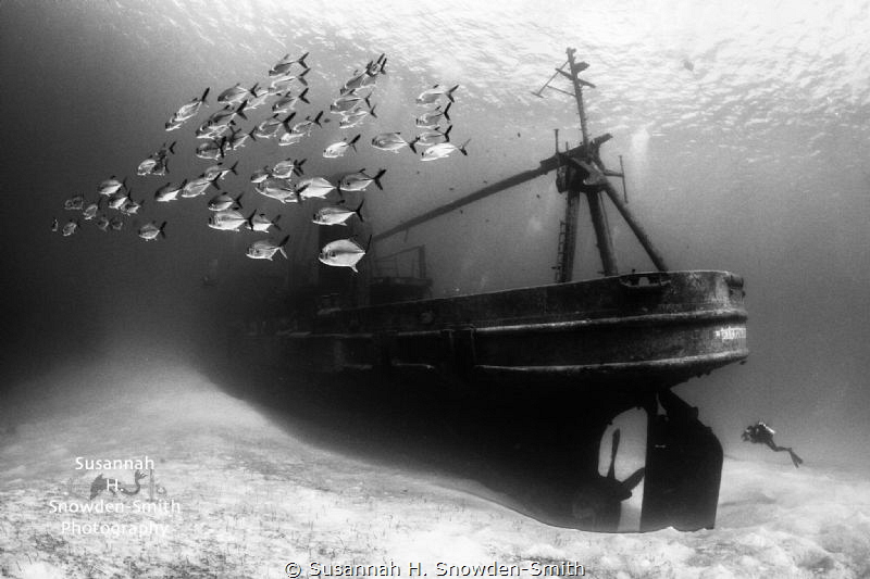 The USS-Kittiwake is one of my favorite dives. Every time... by Susannah H. Snowden-Smith 