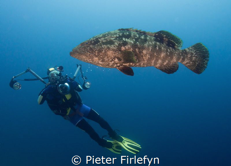 Grouper with model photographer by Pieter Firlefyn 