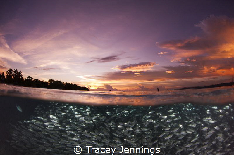 Whilst everyone else returned to the boat, I grabbed anot... by Tracey Jennings 