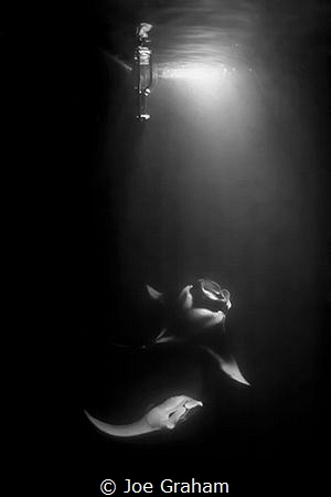 Mantas playing under the boat. Shot using the light from ... by Joe Graham 