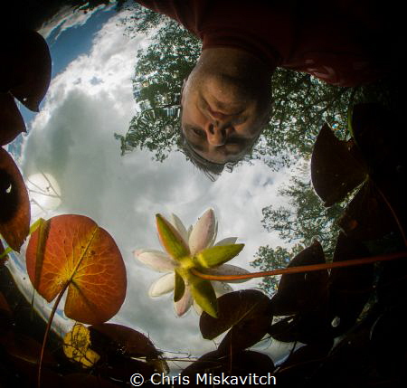 Accidental selfie?!  trying to get in the right spot and ... by Chris Miskavitch 