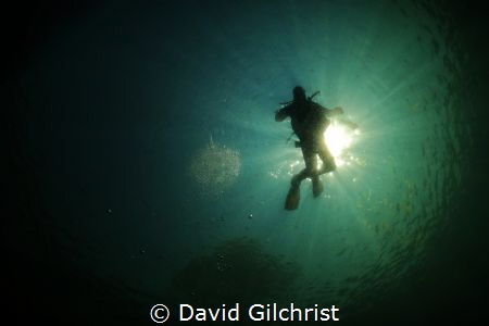 Quarry Diver by David Gilchrist 