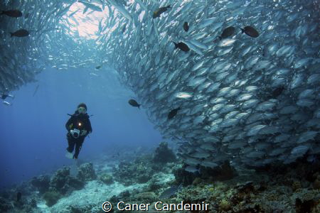 Underwater Photographer by Caner Candemir 