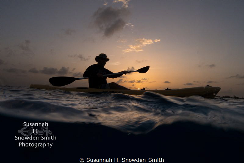 "Searching For Mating Turtles At Sunset" - When the green... by Susannah H. Snowden-Smith 