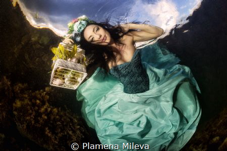 Fairy of Spring by Plamena Mileva 