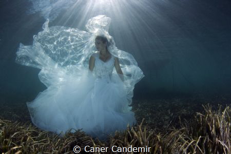 Underwater Wedding Shot by Caner Candemir 