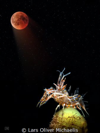 moonstruck - lunar eclipse by Lars Oliver Michaelis 