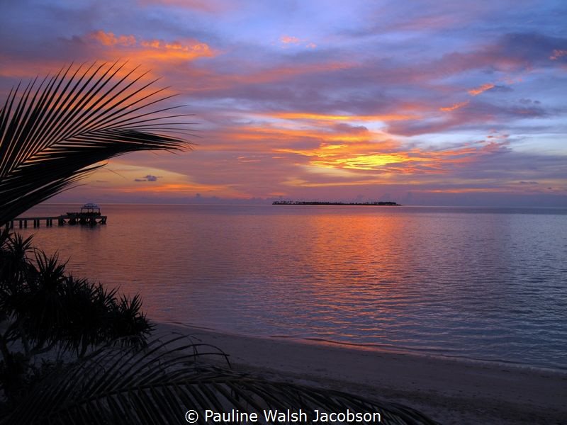 Sunset, Wakatobi, Indonesia by Pauline Walsh Jacobson 