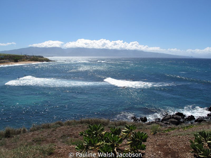 Surfers and Windsurfers, Hookipa, Maui, Hawaii by Pauline Walsh Jacobson 