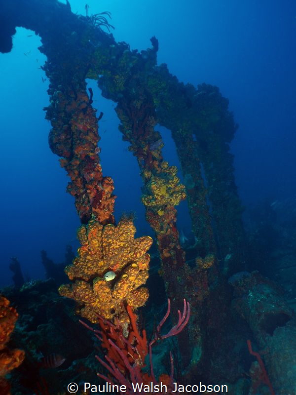 Wreck of the RMS Rhone, Salt Island, British Virgin Islands by Pauline Walsh Jacobson 