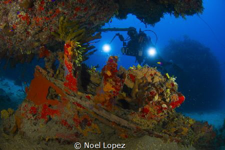 small wreck, and a diver, nikon D800E ,tokina lens 10-17m... by Noel Lopez 
