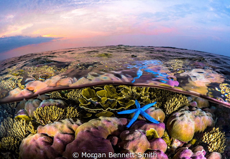 Sunset over a reef near Kimbe Island by Morgan Bennett-Smith 
