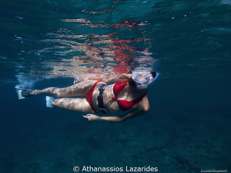 Contemplating the magical underwater world by Athanassios Lazarides 
