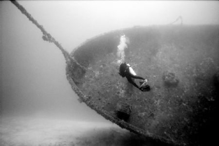 Pam on the Bibb - Key Largo wreck a US Coast Gaurd Cutter... by Michael Salcito 