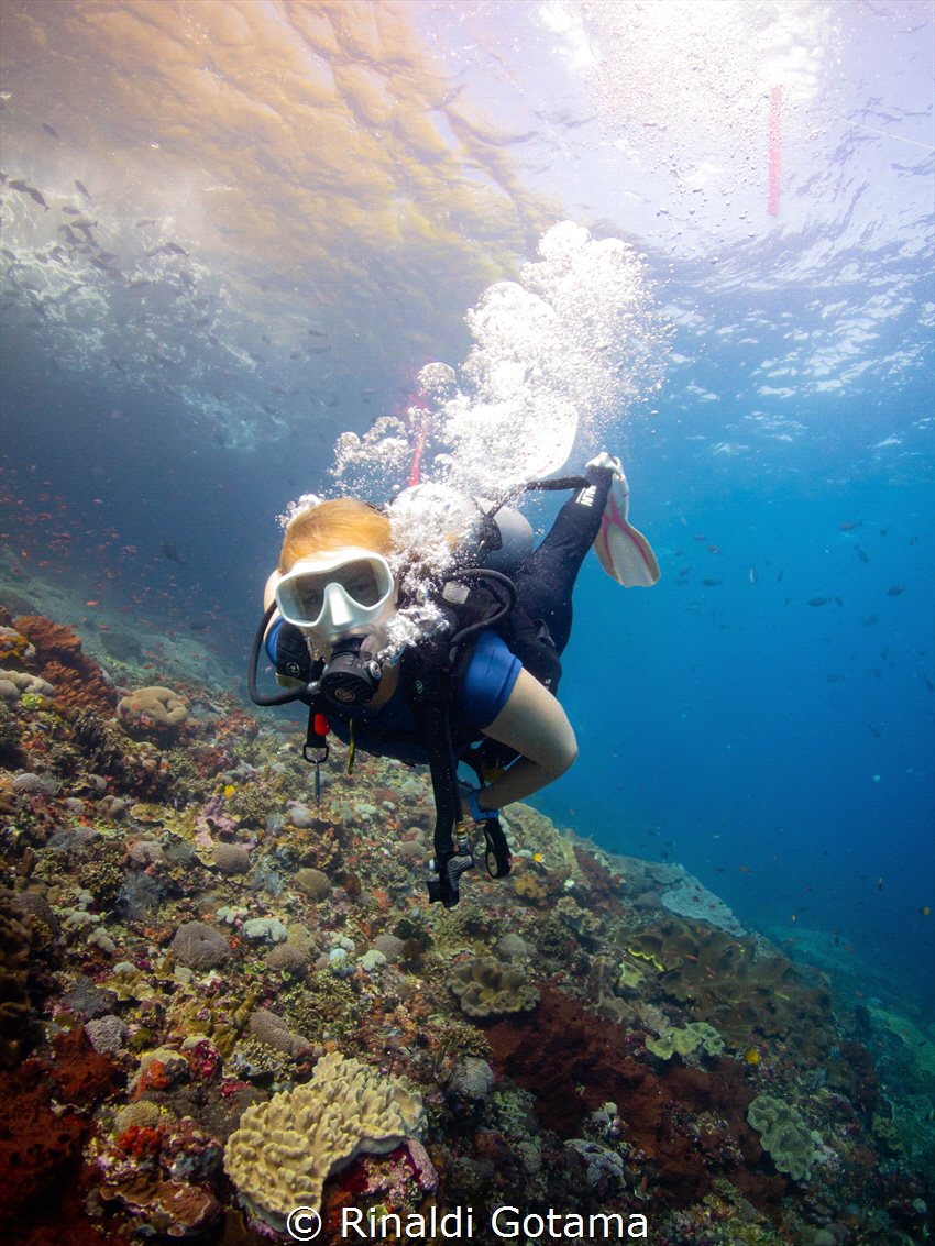 Diver swimming in a current by Rinaldi Gotama 