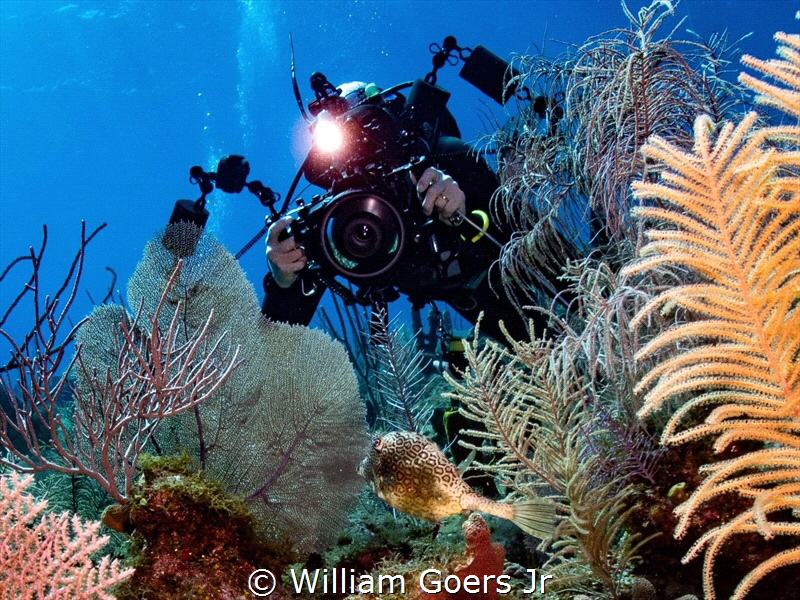 PADI instructor and accomplished underwater photographer ... by William Goers Jr 