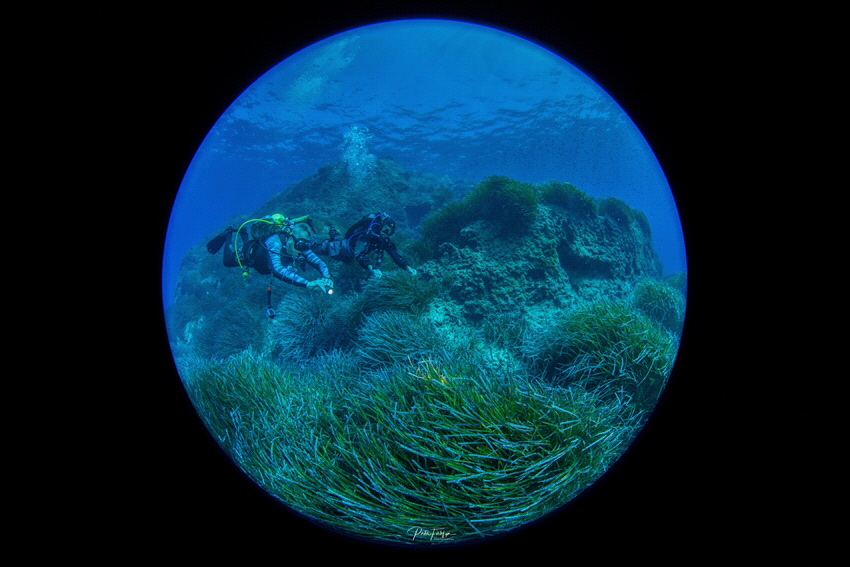 Cirkewwa Marine Park by Pieter Firlefyn 