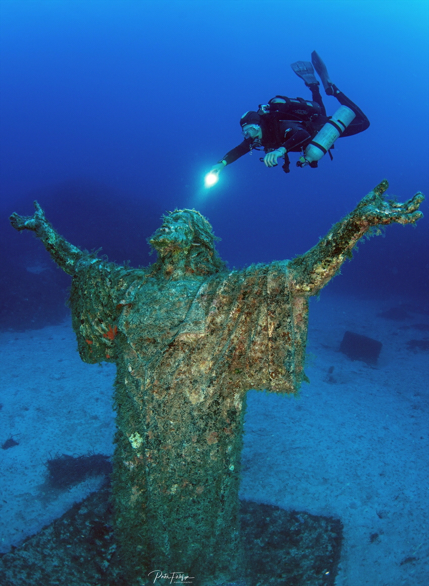 Imperial eagle | Statue of Christ by Pieter Firlefyn 