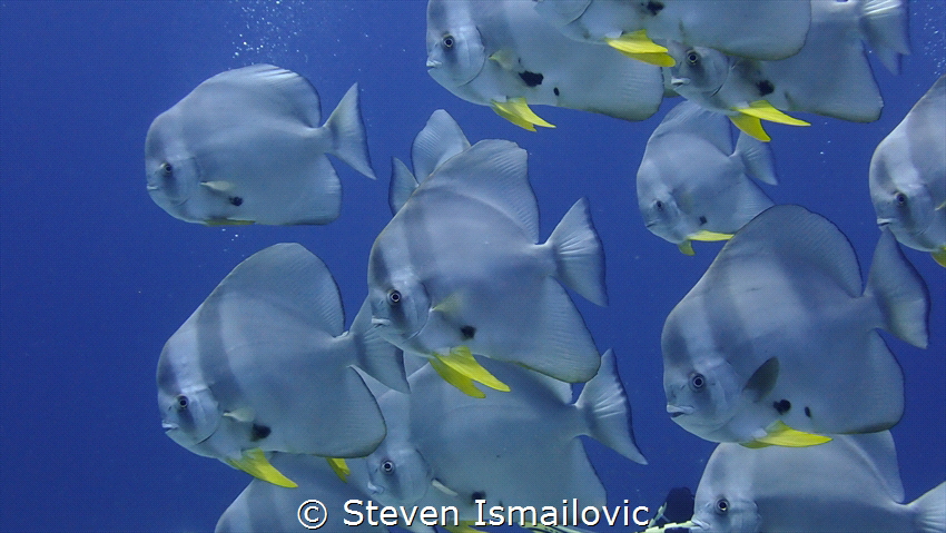 This picture was taken in Koh Bon Bay, Thailand, in the A... by Steven Ismailovic 