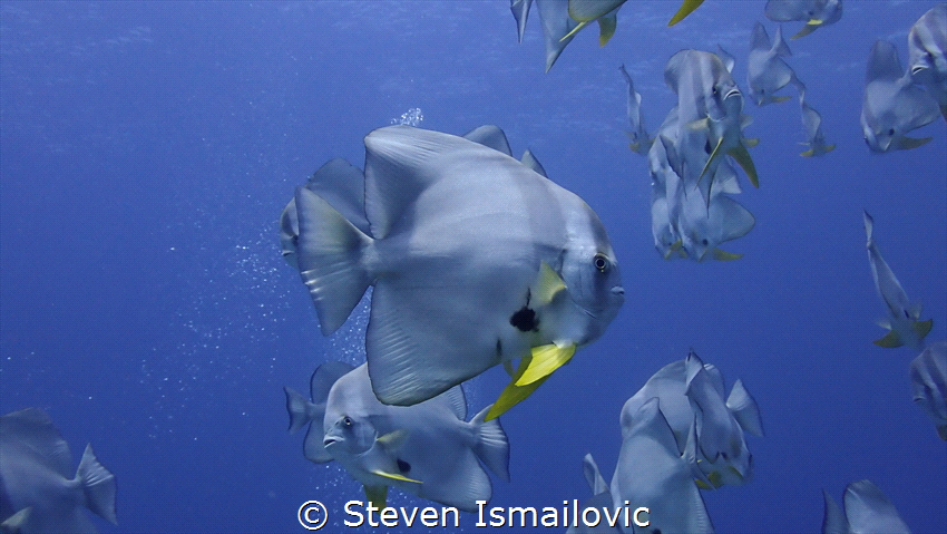 This picture was taken in Koh Bon Bay, Thailand, in the A... by Steven Ismailovic 