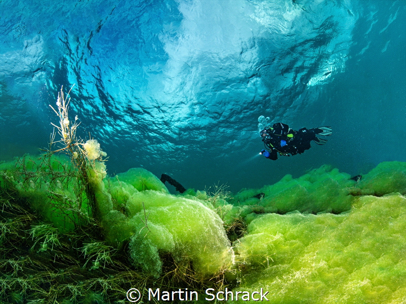 The image shows an underwater shot in which a diver can b... by Martin Schrack 