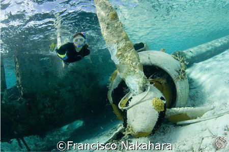 Flying under the sea... by Francisco Nakahara 