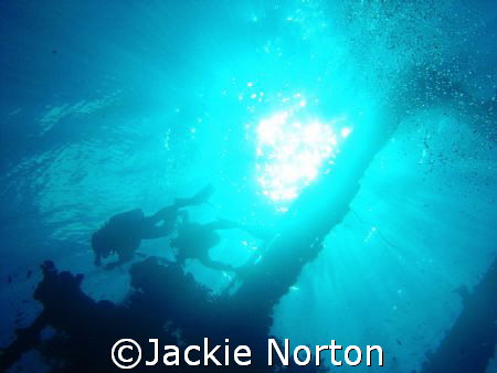 wreak diving by Jackie Norton 