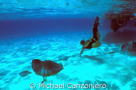 On some days, there are actually more rays than divers at... by Michael Canzoniero 