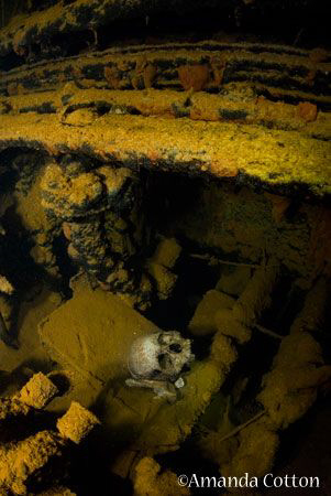 Human Skull.  Human remains lay deep inside the Heian Mar... by Amanda Cotton 