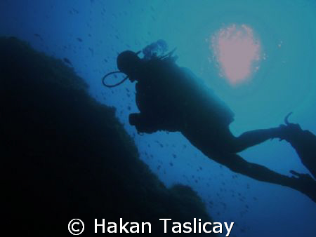 diver by Hakan Taslicay 