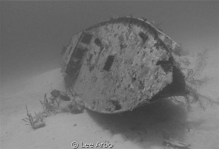 Wreck off Utila Honduras by Lee Arbo 