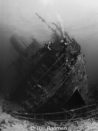 Majestic Giannis D
Top Wreck in Red Sea by Luc Rooman 
