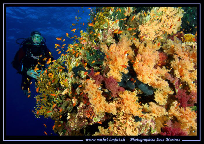 My Friend Stéphane admiring the beautiful and rich fauna ... by Michel Lonfat 