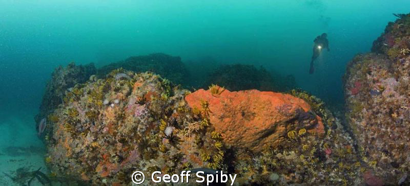 a stitched panorama (5 pics taken vertically) of a reef (... by Geoff Spiby 
