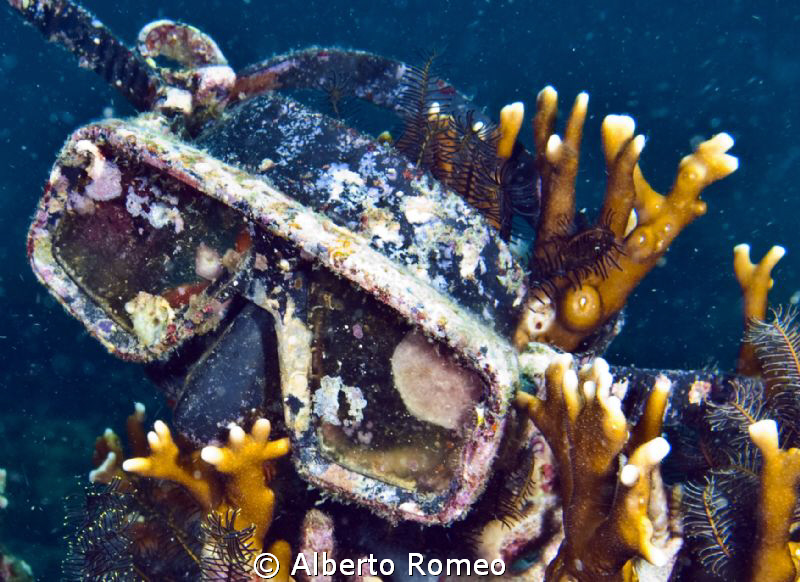 Diving in Siimilan islands I found this dive mask lost in... by Alberto Romeo 