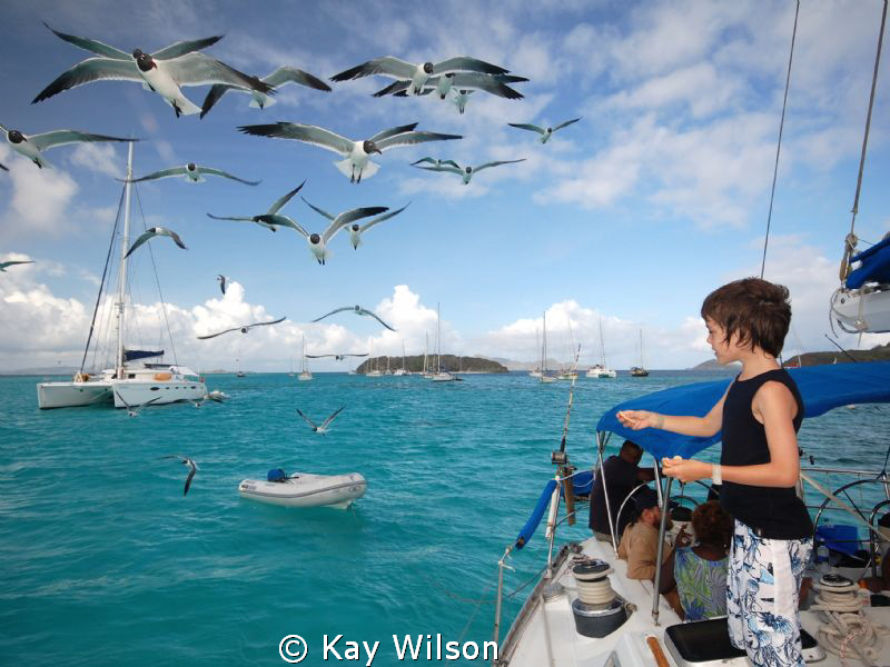 Gabriel and the seagulls. (Tobago Cays).
Nikon D40, fill... by Kay Wilson 