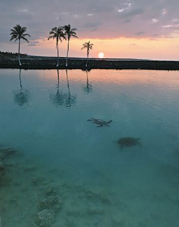 Taken with Canon EOS 1Ds wide angle lens. A peaceful mome... by Yves Rubin 