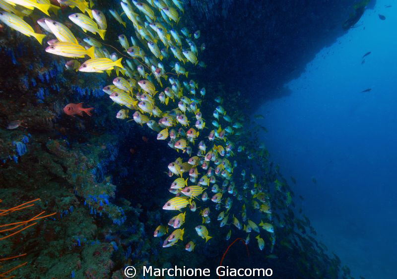 Malos Corner
Nikon D200, 12-24mm nikon , two strobo
Ari... by Marchione Giacomo 