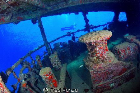 Inside the wreck at Abu Ghusun, south of Marsa Alam. Than... by Fred Panza 