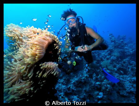 Ras Ghozlani in the afternoon by Alberto Tozzi 