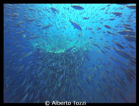 Explosion in front of the Thistlegorm bow by Alberto Tozzi 