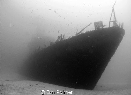 P29 Patrol boat in 36metres
Taken with an Olympus 5000z
... by Ian Palmer 
