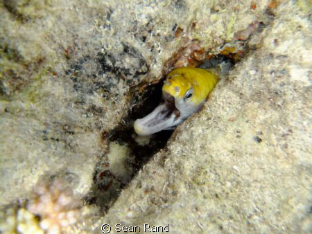 Red Sea,  Fuji Film Compact F80 EXR normal white balance ... by Sean Rand 