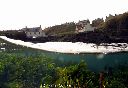 A grey winters day in East Scotland by Tom Ashton 