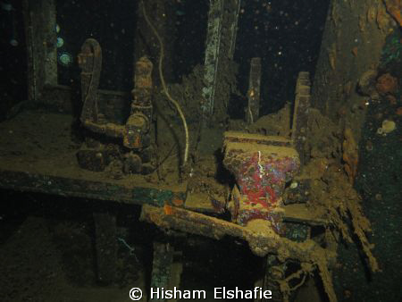 Giannis D wreck. Abu Nuhas, Egypt by Hisham Elshafie 