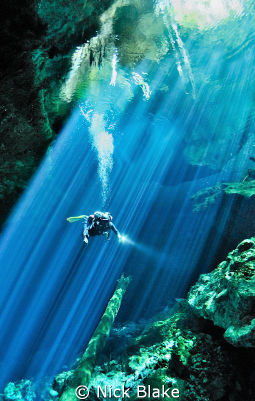 "Points of Light"
An amazing dive in Taj Maha Cenote, Me... by Nick Blake 
