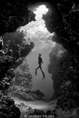 Record Italian freediver Linda Paganelli, ascending in fr... by Jacques De Vos 