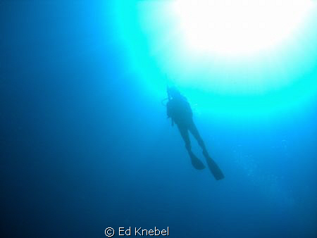 diver silhouette
 by Ed Knebel 